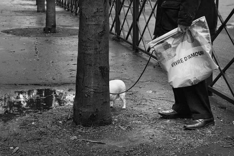 Street Photography by Gaspard Claude