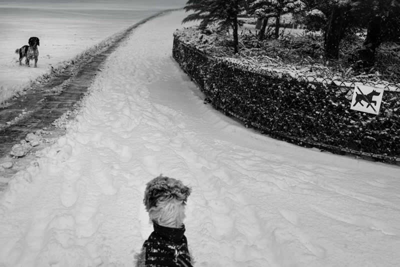 Street Photography by Gaspard Claude