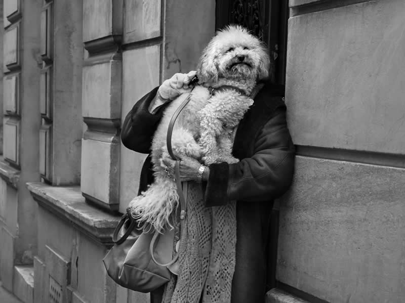 Street Photography by Gaspard Claude