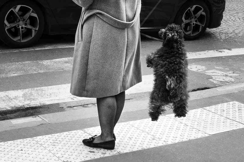 Street Photography by Gaspard Claude