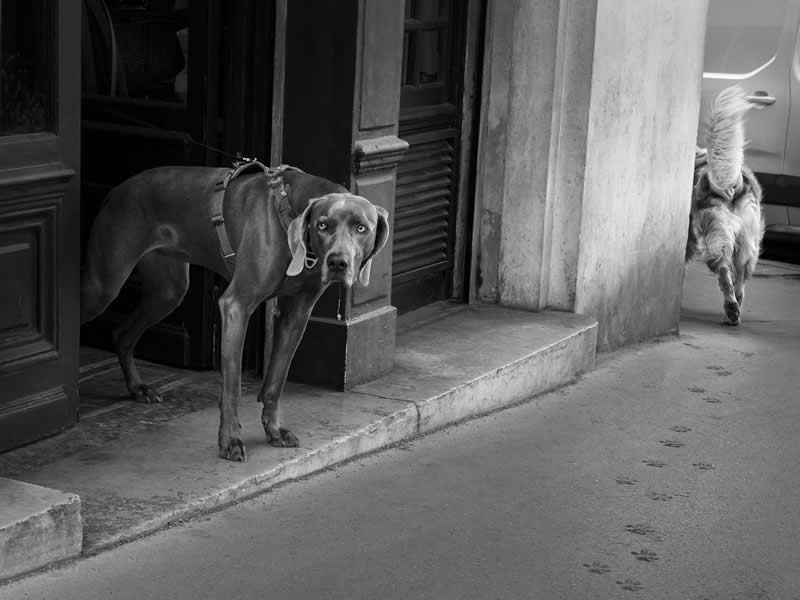 Street Photography by Gaspard Claude