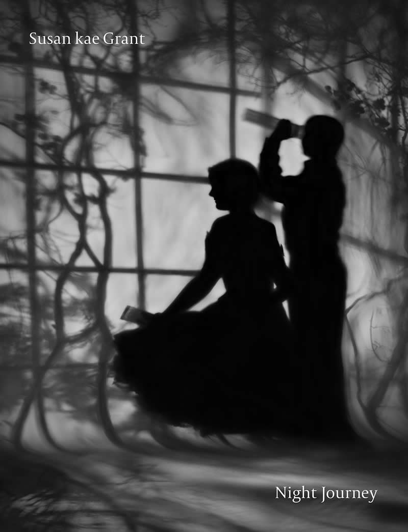 Inside Susan Kae Grant's Night Journey: A Haunting World of Dreams and Shadows 21 Inside Susan Kae Grant Night Journey Photo Book