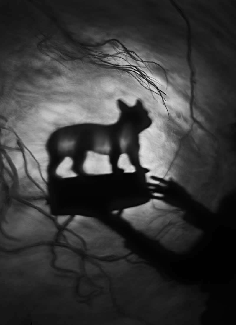 Inside Susan Kae Grant's Night Journey: A Haunting World of Dreams and Shadows 36 Inside Susan Kae Grant Night Journey Photo Book