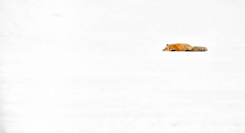3rd Place: Sleeping Box by Charles Janson, USA - The Artist Gallery Awards Minimalist 2026 Winners