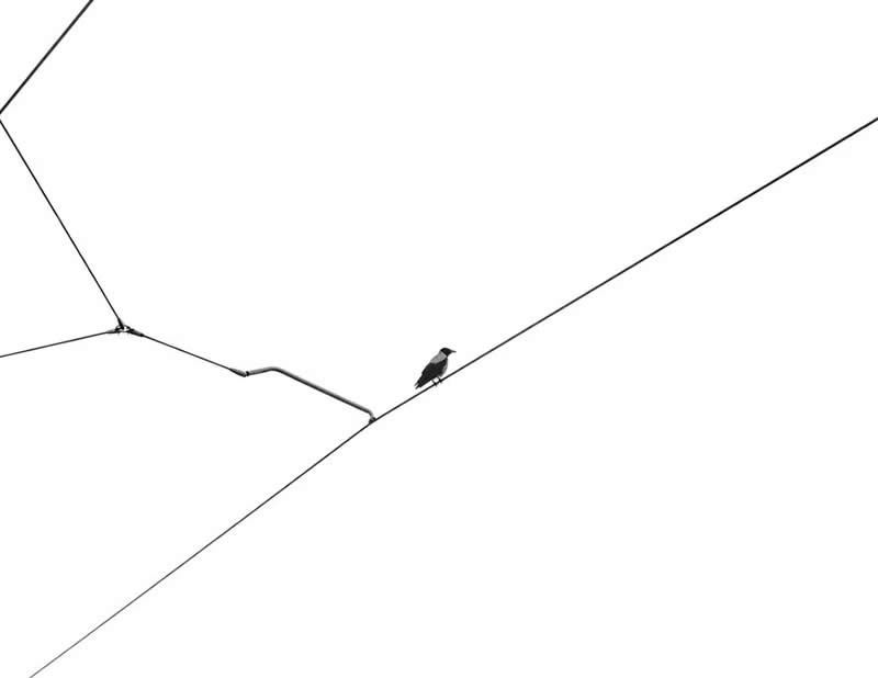 Wired Solitude by Sivan Swisa, Israel - The Artist Gallery Awards Minimalist 2026 Winners