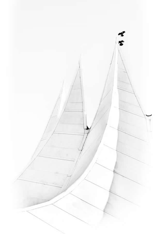 Two Birds by Fritz Mehner, Germany - The Artist Gallery Awards Minimalist 2026 Winners