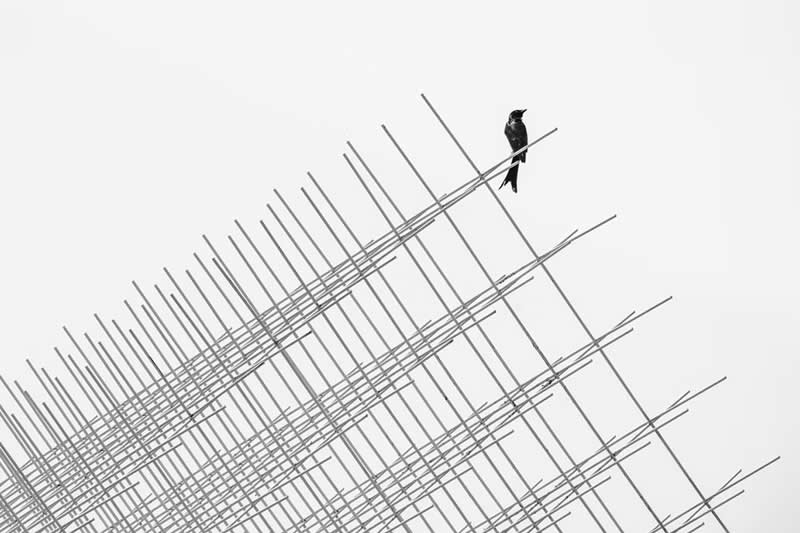 Repose by KuoLun Hsu, Taiwan - The Artist Gallery Awards Minimalist 2026 Winners