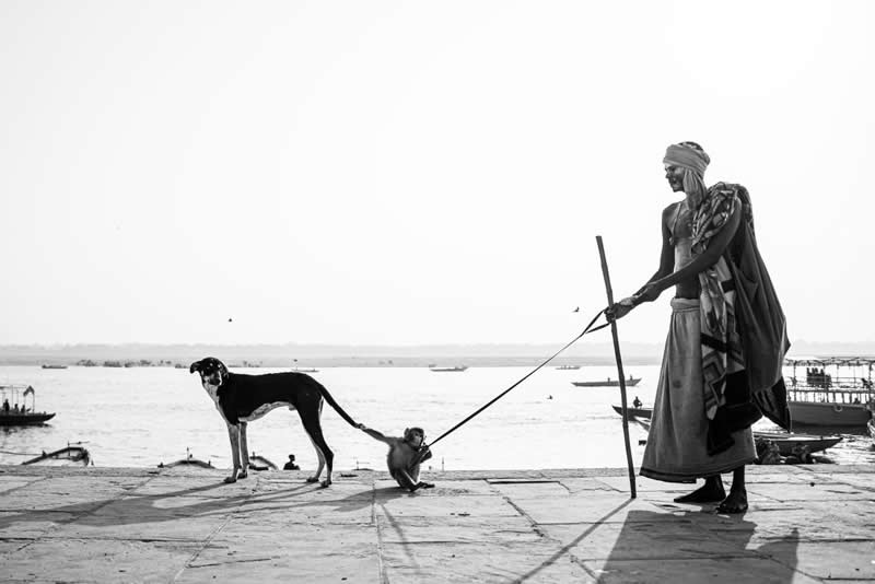 Urban Photo Awards 2026: 35 Finalist Photos That Turn Everyday Streets Into Art 49 Pet Monkey Holding A Dog's Tail by Saneet Konduri - Urban Photo Awards 2026 Street Finalists