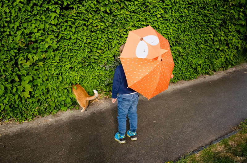 Urban Photo Awards 2026: 35 Finalist Photos That Turn Everyday Streets Into Art 59 Cats by Hadrien Jeanrichard - Urban Photo Awards 2026 Street Finalists
