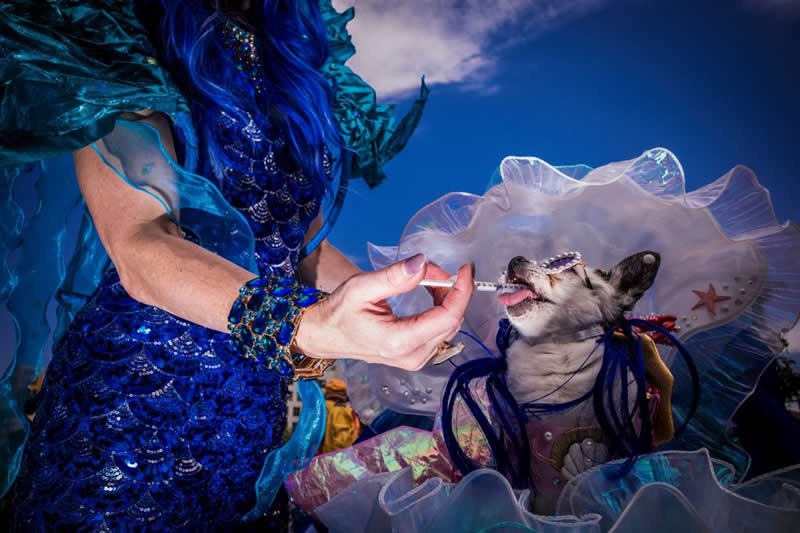 Urban Photo Awards 2026: 35 Finalist Photos That Turn Everyday Streets Into Art 66 Urban Hydration by Mark Zilberman - Urban Photo Awards 2026 Street Finalists