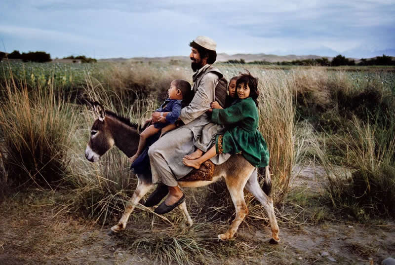 Timeless Color Photos from the Most Celebrated Photographers