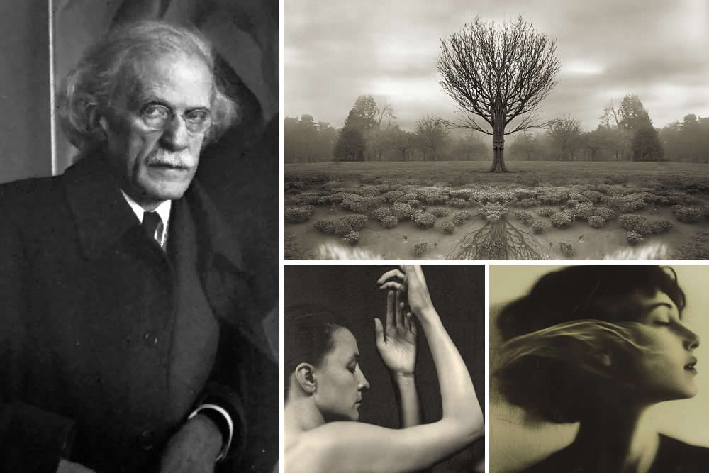 Alfred Stieglitz: Photography Becomes Art