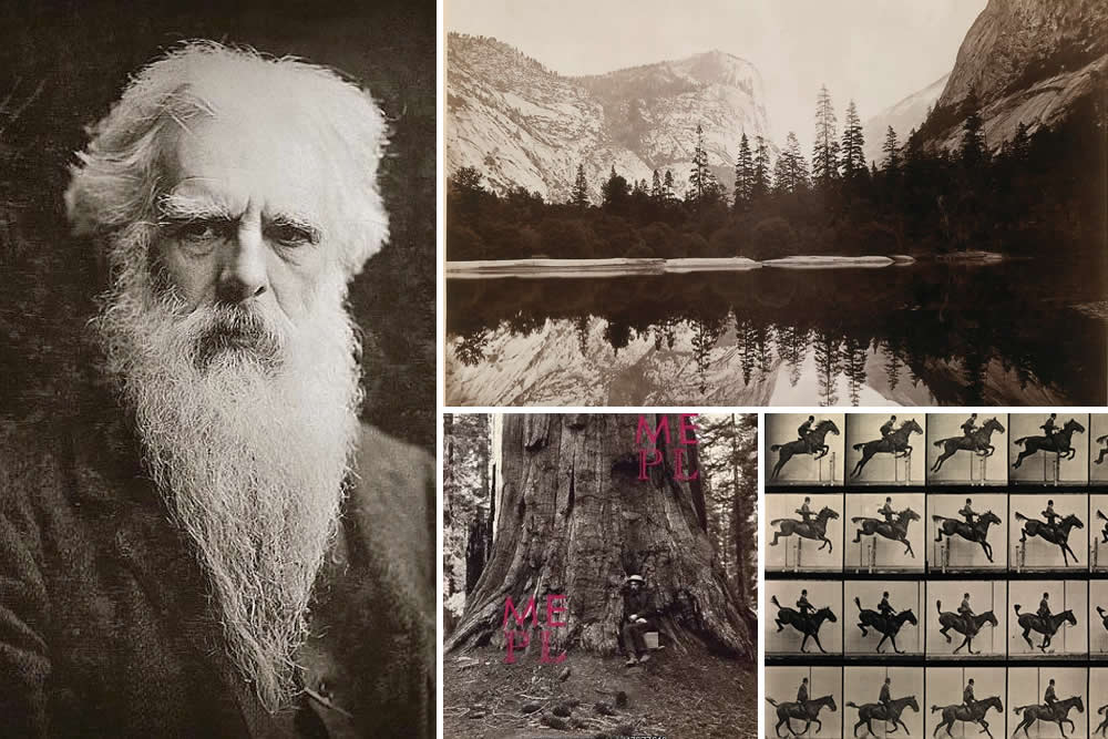 Eadweard Muybridge: The Man Who Made Motion Visible