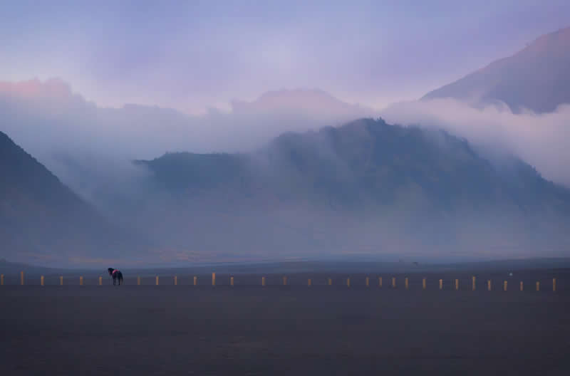 Minimalism - Bronze: Horsemen by Mohammed Muhtasib, Saudi Arabia - 12Awards Photography Competition Winners