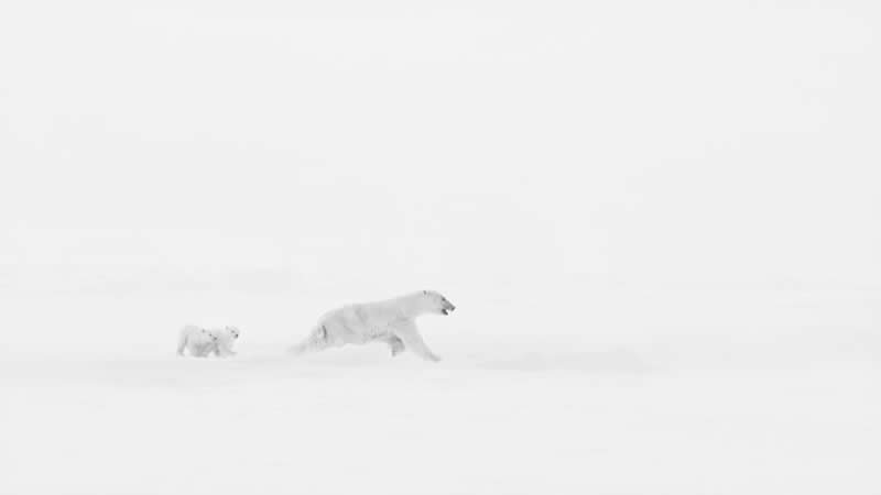 Open B&W - Silver: Morning Jog by Xuejun Long, China - 12Awards Photography Competition Winners