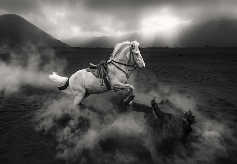 Open B&W - Bronze: Angry Horse by Mohammed Muhtasib, Saudi Arabia - 12Awards Photography Competition Winners