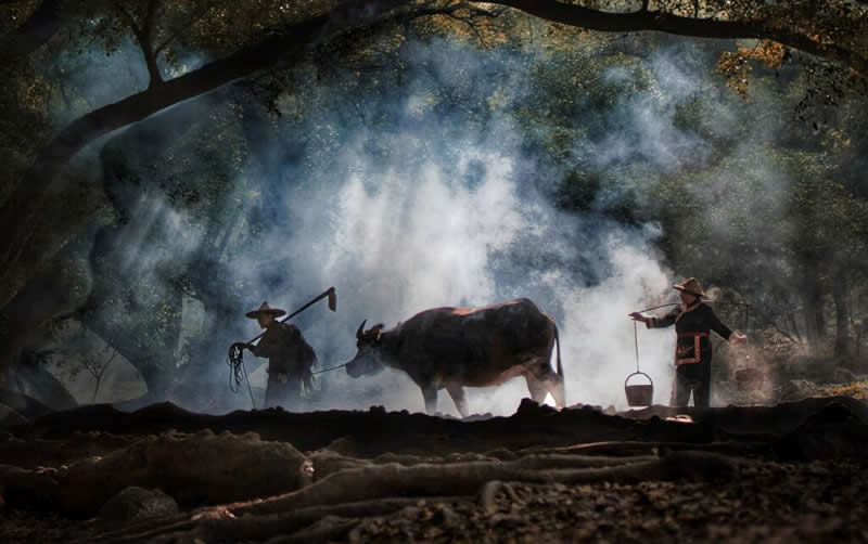 Travel - Silver: Early Morning Walk by Ken Ang, Singapore - 12Awards Photography Competition Winners