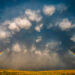 12Awards Photography Competition Winners