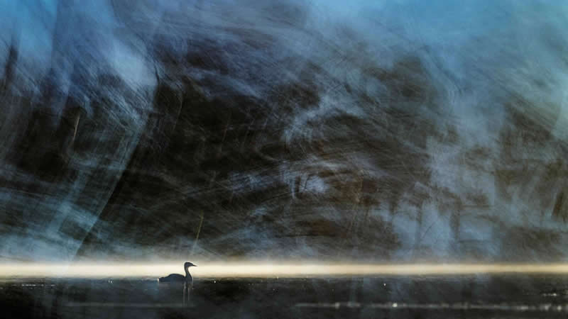 Creative Perspectives - Bronze: Grebe Impression by Julian Łoziński, Poland - Bird Photographer of the Year 2026 Winners