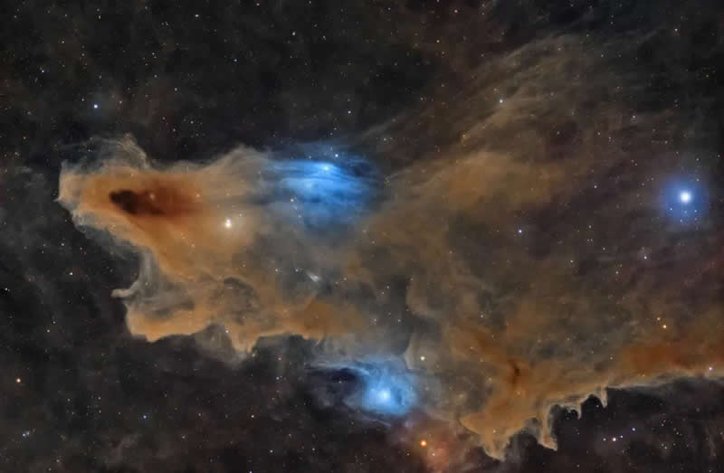 Stars and Nebulae category winner and overall winner: The Quiet Predator by Ali Alobaidly - ZWO Astronomy Photographer 2026 Winners