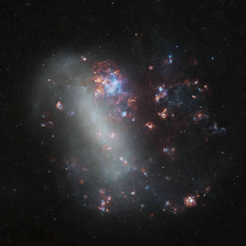 Galaxies - Highly commended: Wildflowers Across a Neighbouring Galaxy: The Large Magellanic Cloud by Shaoyu Zhang - ZWO Astronomy Photographer 2026 Winners