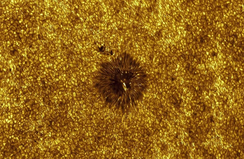 Our Sun - Winner: Active Region 4122 by Miguel Claro - ZWO Astronomy Photographer 2026 Winners