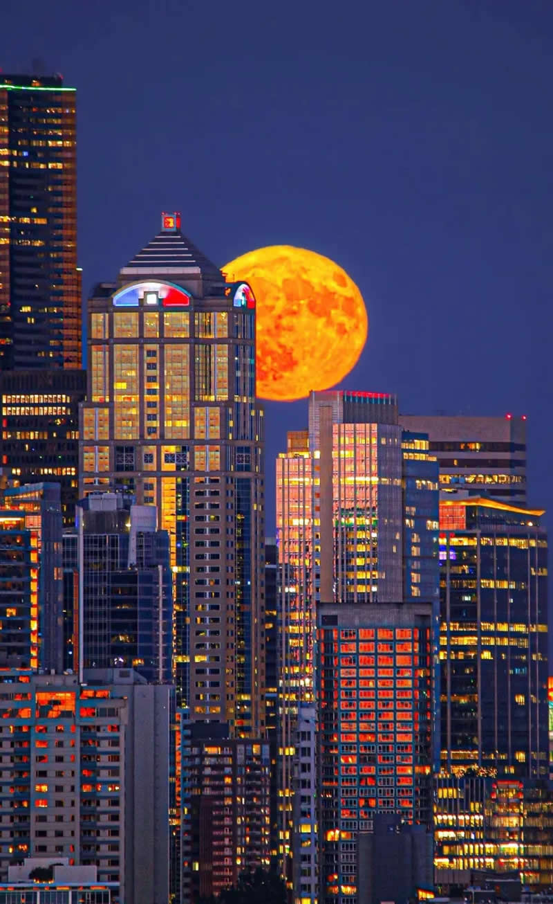 People and Space - Highly commended: Golden Moonrise Over Seattle by AJ Smadi - ZWO Astronomy Photographer 2026 Winners