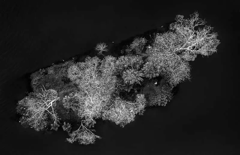 The Unknown Landscape of Mexico by Brian Overcast, United States/Mexico - AAP Magazine 2026 Awards Nature Winners