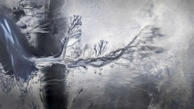 Natures Traces by Ciaran Willmore, Ireland - AAP Magazine 2026 Awards Nature Winners