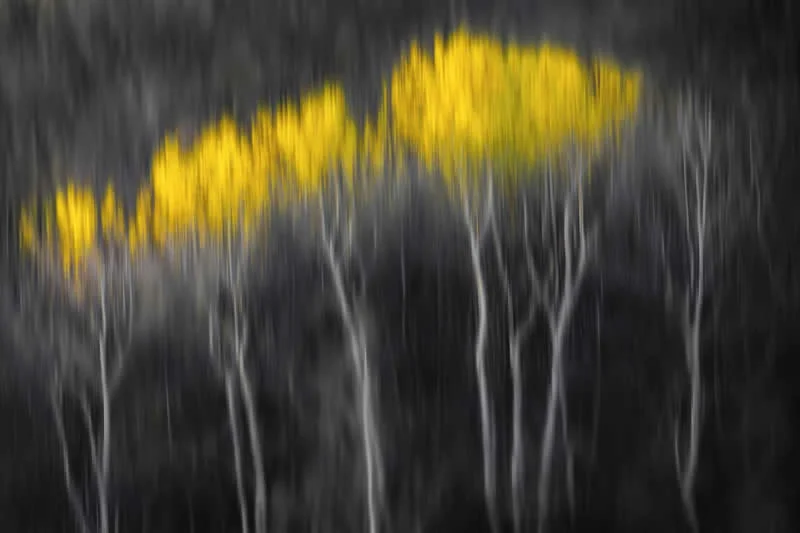 Apparent Motion by Dario Bonetto, Italy - AAP Magazine 2026 Awards Nature Winners