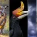 Remarkable Nature Winners From the AAP Magazine 2026 Awards