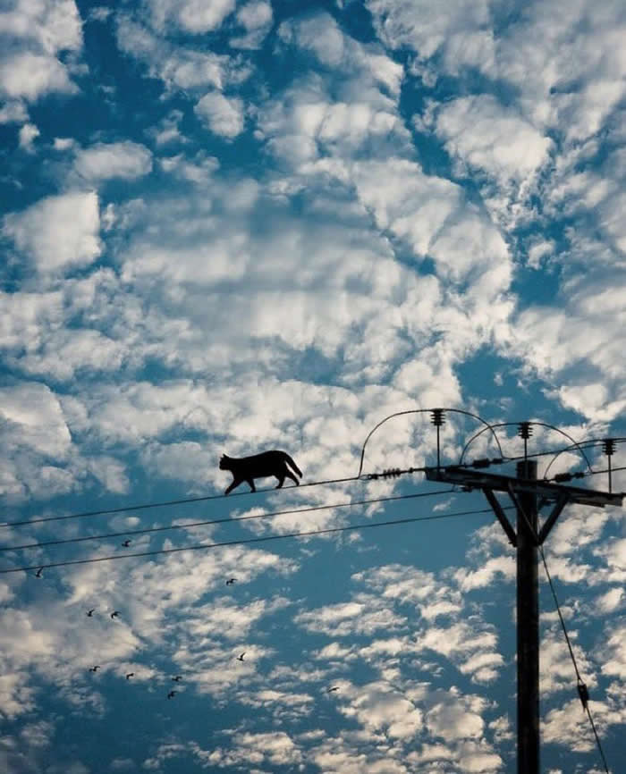 Unusual Photos That Look Like They Belong in a Modern Art Gallery