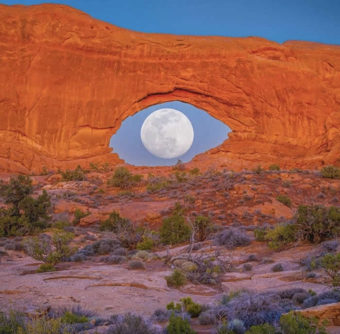 Unusual Photos That Look Like They Belong in a Modern Art Gallery
