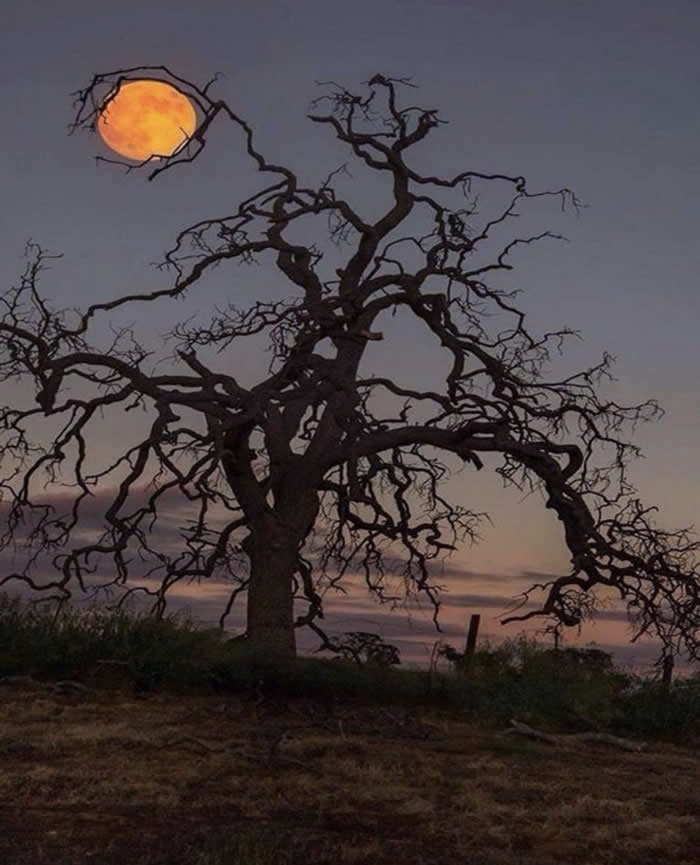 Unusual Photos That Look Like They Belong in a Modern Art Gallery