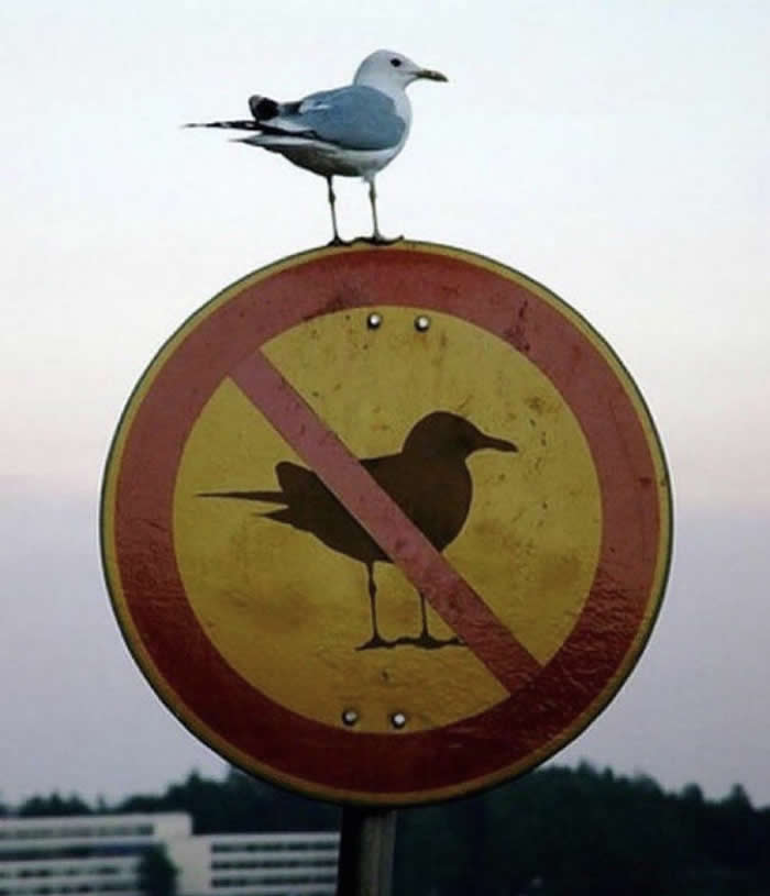 Unusual Photos That Look Like They Belong in a Modern Art Gallery