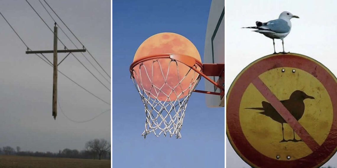 Unusual Photos That Look Like They Belong in a Modern Art Gallery
