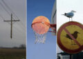 Unusual Photos That Look Like They Belong in a Modern Art Gallery