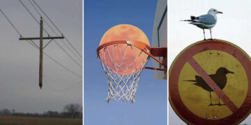 Unusual Photos That Look Like They Belong in a Modern Art Gallery