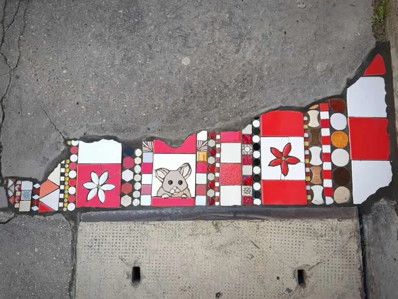 On Rue Saumaise, on your way to school, I'm leaving this flowery mosaic on your sidewalk. Can you find the little mouse?
