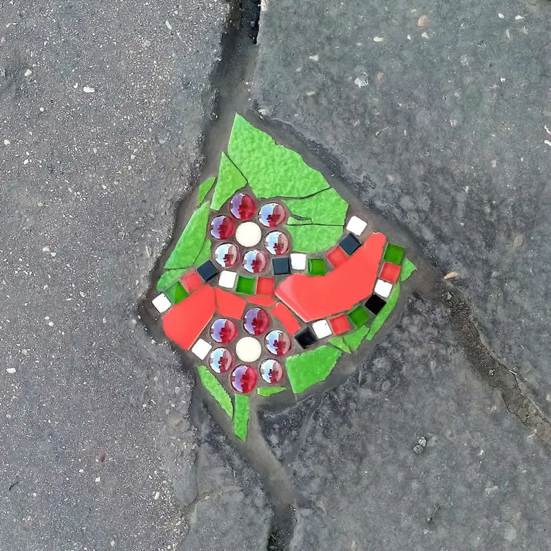 First mosaic to bloom in a pothole.