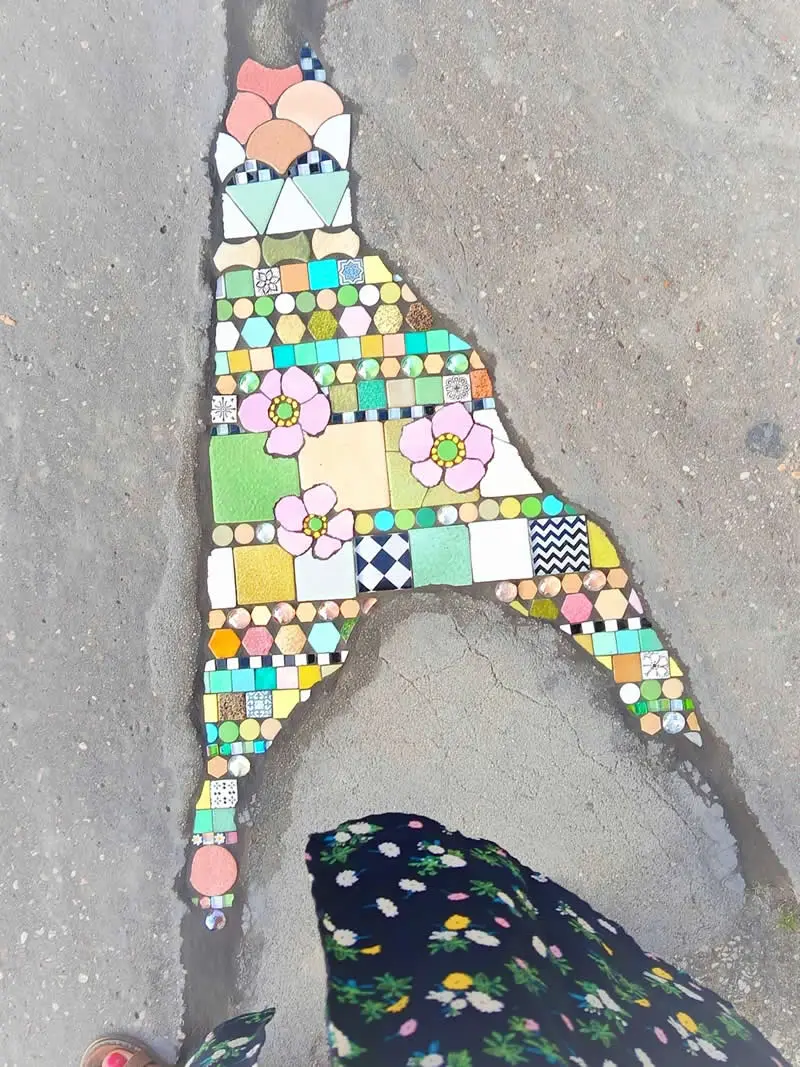 Place Auguste Dubois, I offer you these pink mosaic anemones. After tracing your pothole.