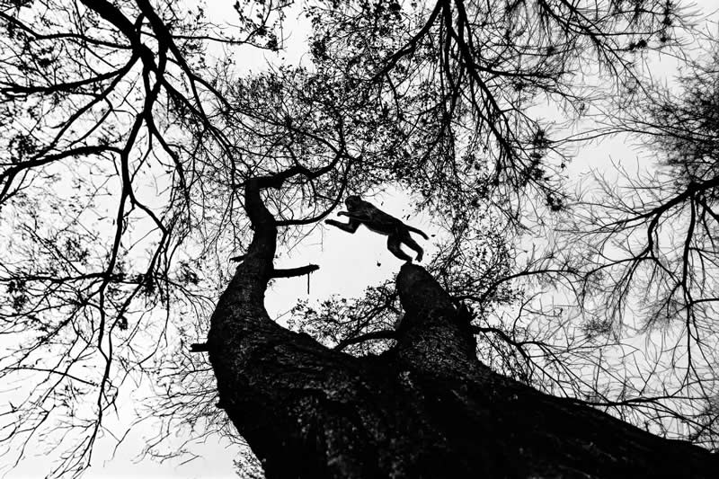 Divyanshu Verma Black and White Indian Street Photography