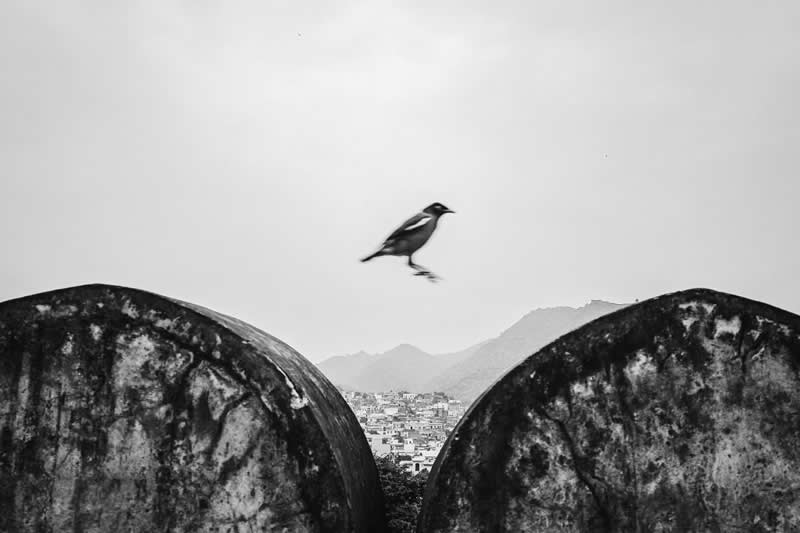 Divyanshu Verma Black and White Indian Street Photography