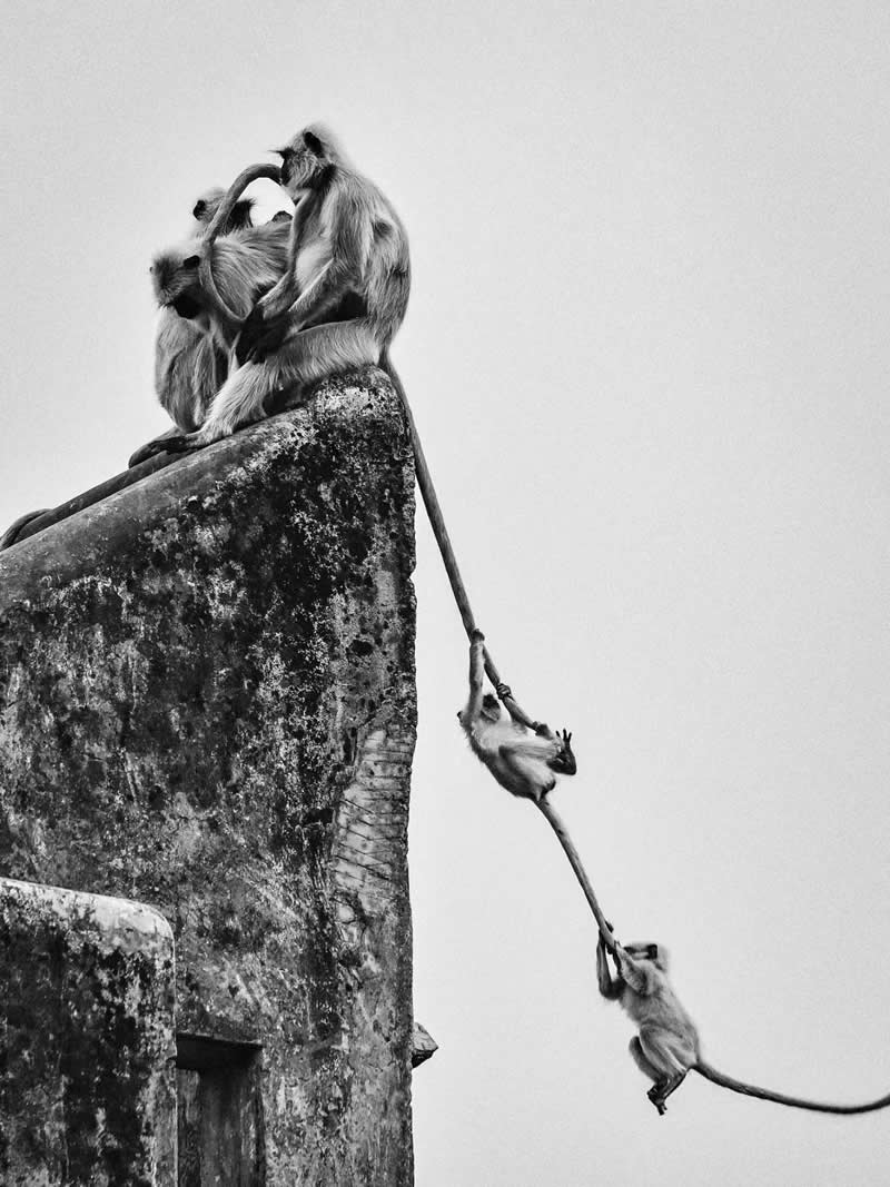 Divyanshu Verma Black and White Indian Street Photography