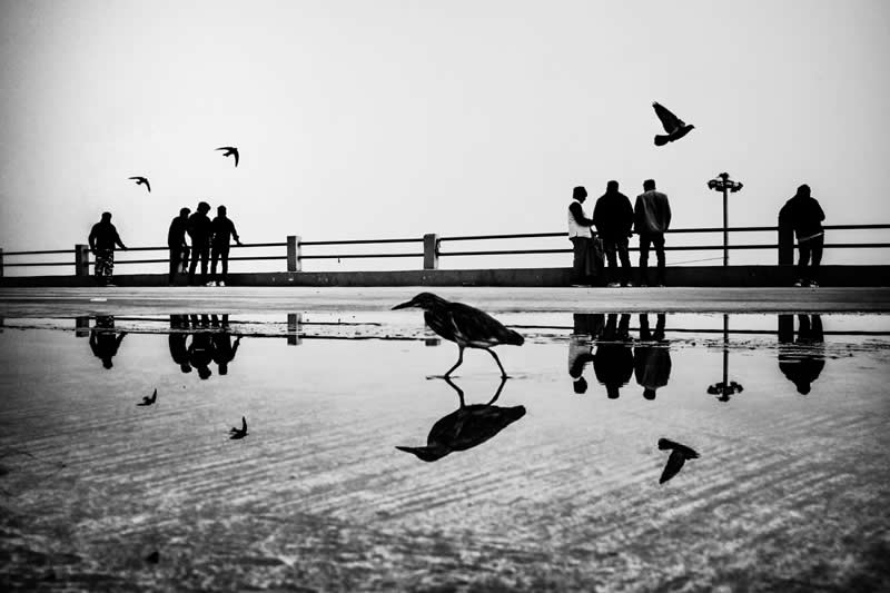 Divyanshu Verma Black and White Indian Street Photography