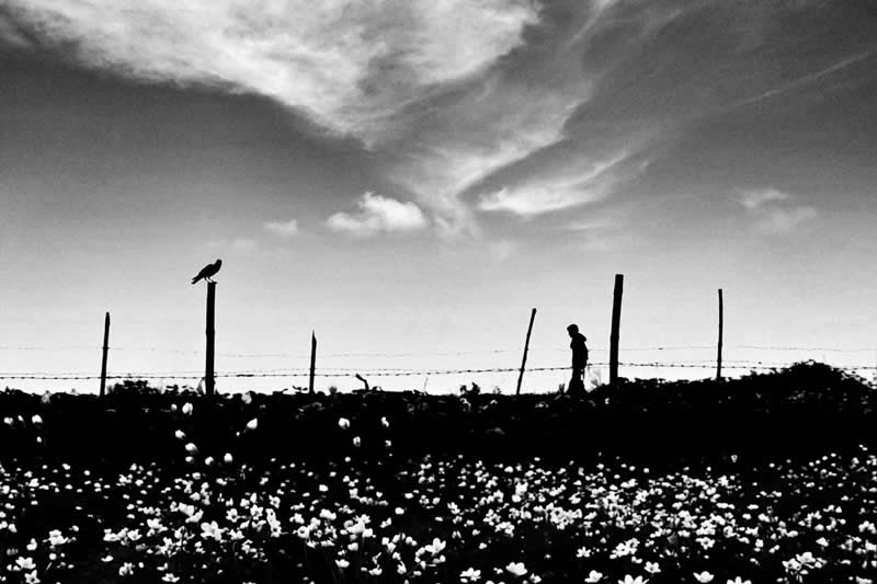 Divyanshu Verma Black and White Indian Street Photography