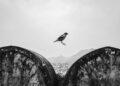 Divyanshu Verma Black and White Indian Street Photography