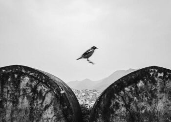 Divyanshu Verma Black and White Indian Street Photography