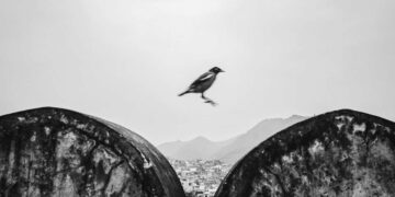 Divyanshu Verma Black and White Indian Street Photography