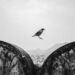 Divyanshu Verma Black and White Indian Street Photography